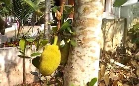 Holiday Homes In Kidangoor Kottayam Kerala